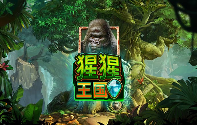 bob鲍勃体育下载